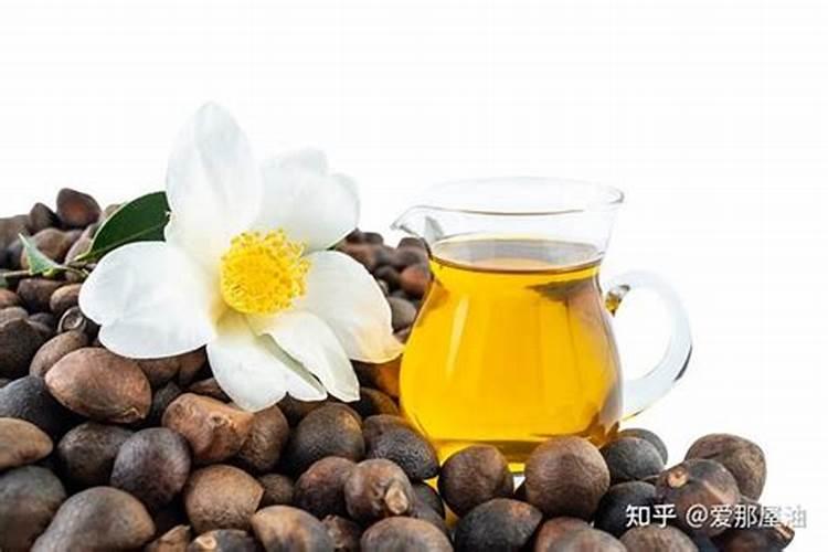 油茶树最佳复合肥