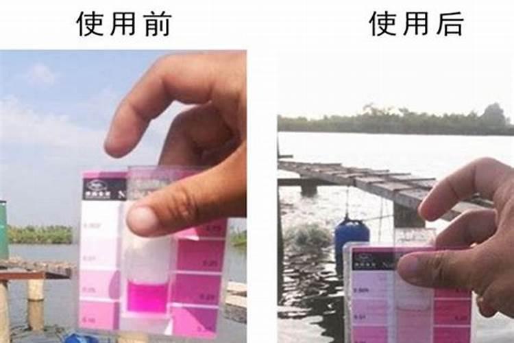 肥水肽为什么不能肥水