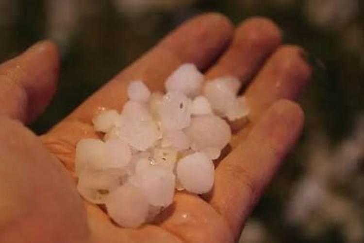 如何应对冰雹天气对农作物是伤害？