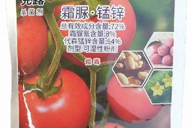 大白菜是一种常见的叶菜类蔬菜,掌握哪些技巧,包心紧实、高产？