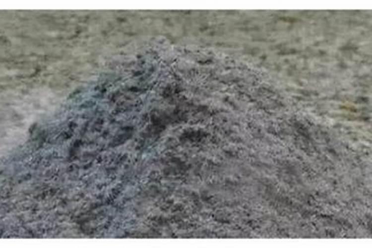 草木灰属于什么肥