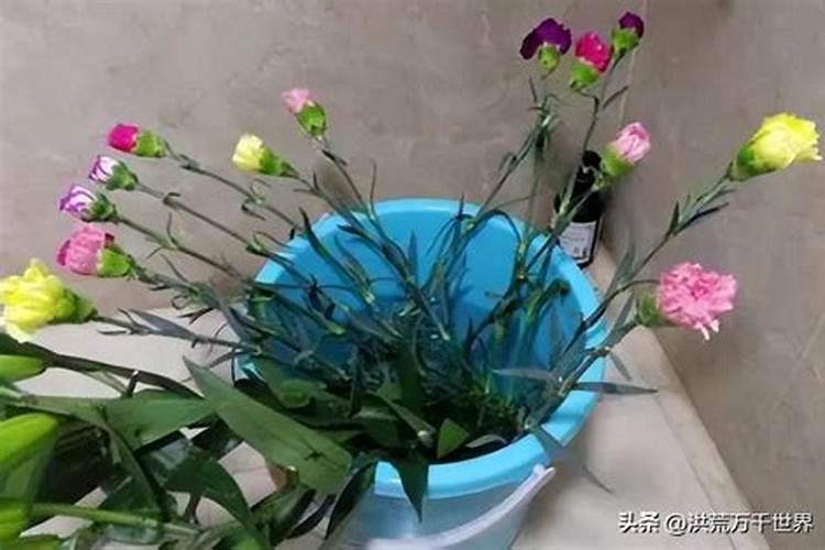 天鹅绒鲜花水养前要醒花吗？