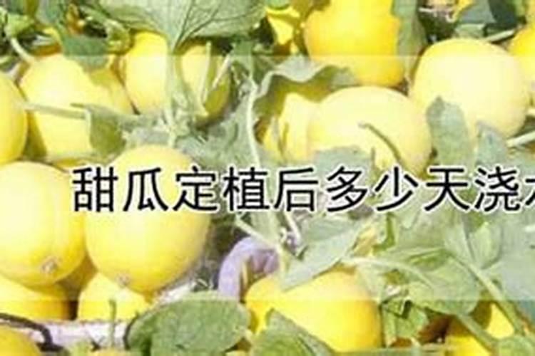 茶叶化肥使用方法如何使用 茶叶化肥使用方法