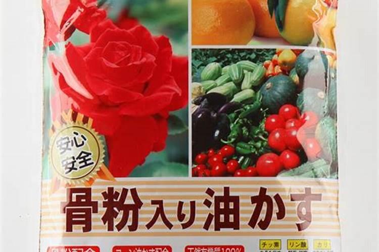君子兰施什么肥最好