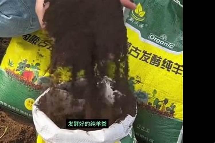 骨粉肥料怎么施肥最好