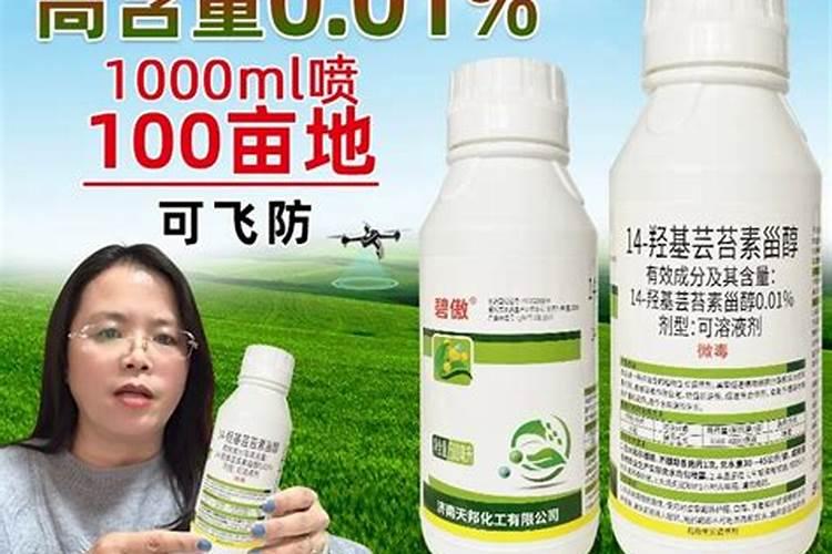 苹果套袋后可以喷芸苔素吗