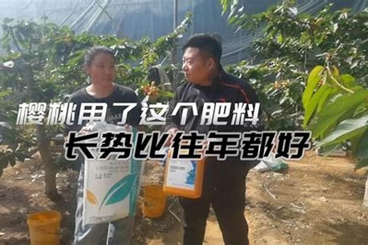 喜来乐肥料有限公司生产的叶面肥膨膨膨在大棚桃树上需要和那些药剂搭配...
