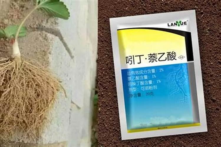 什么肥料可以让树木快速生长 可以让树木快速生长分肥料有什么呢