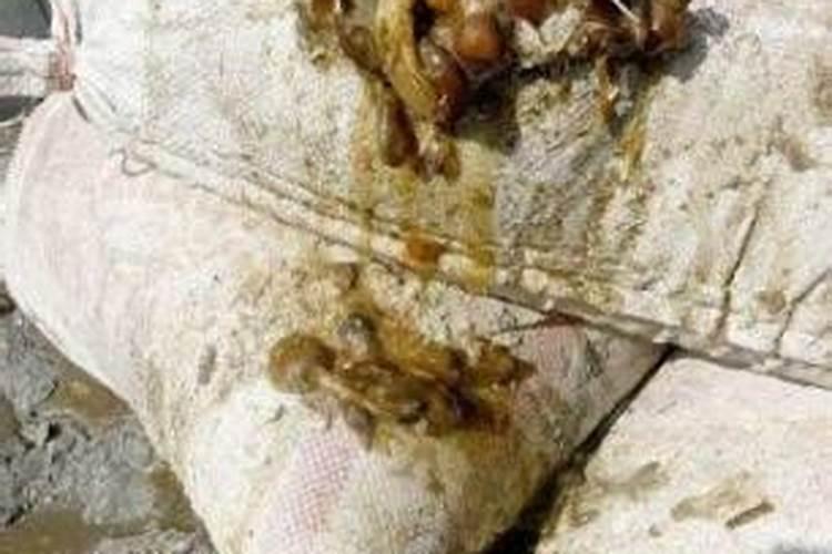 过期奶粉怎么处理不浪费