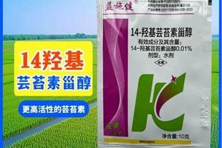 青菜喷施哪种芸苔素效果好