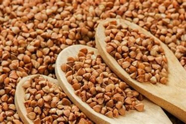 发霉的荞麦粉能做肥料吗