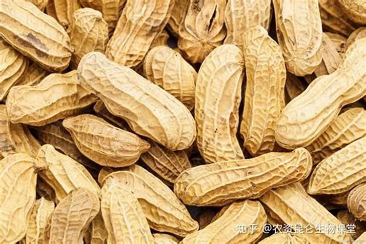 种花生用什么肥料好
