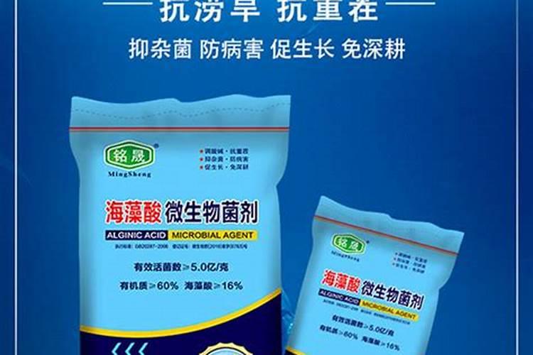 黄瓜用什么肥料产量高