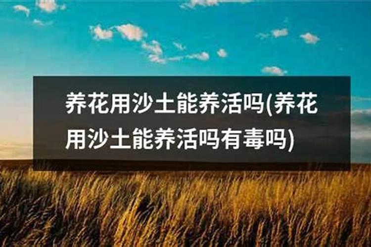 水稻炸壳子有什么好药防治呢？