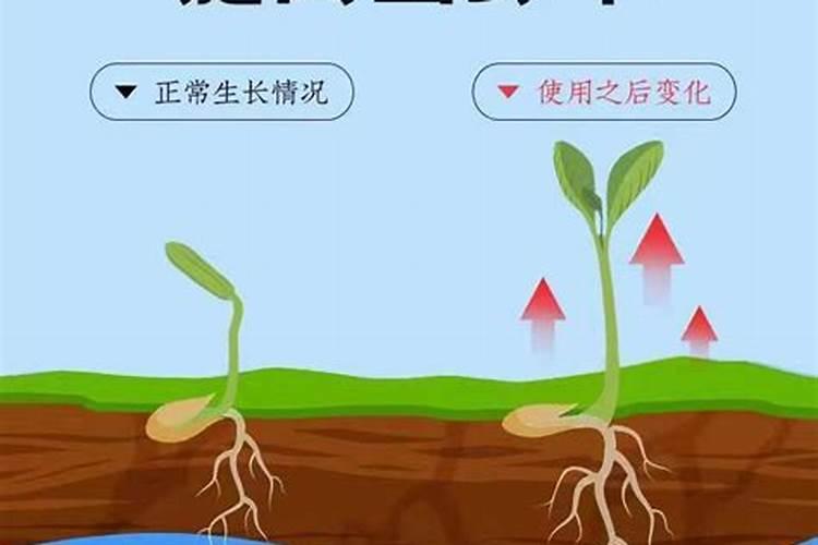 矿源黄腐酸钾怎么用？
