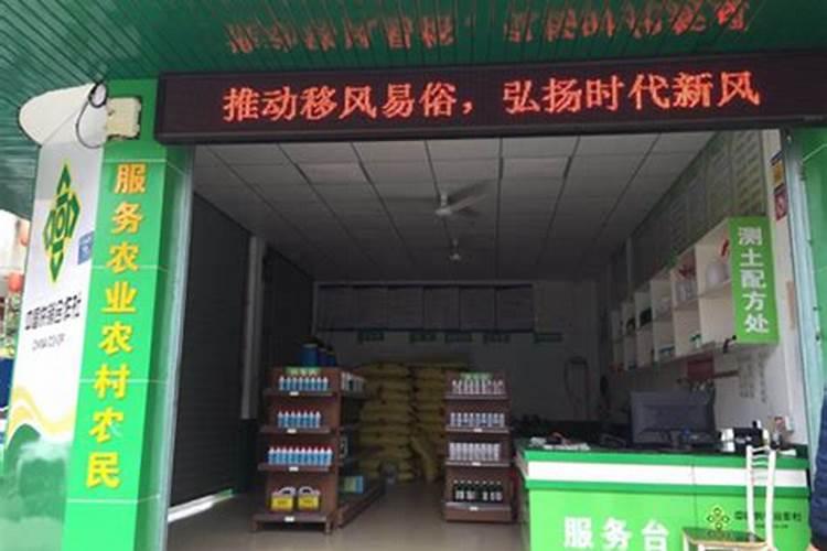 椰树集团是不是上市公司？