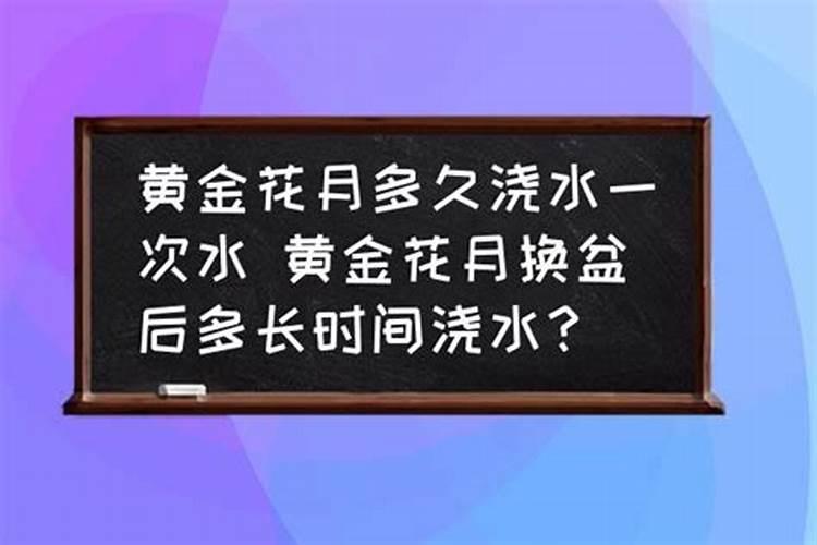 对于麦地打药而言,上午是好时机吗