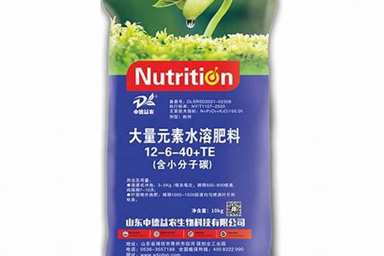 泡黄豆水适合浇什么花