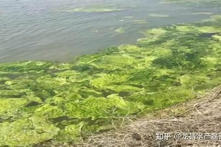 肥料袋上的这些“字母”,玄机很多!
