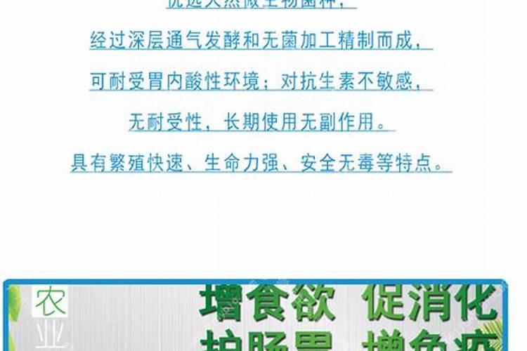 怎么样把玉米当肥料的使用到地里