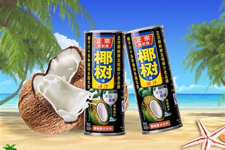 如何种植椰子树苗？椰子苗种植方法