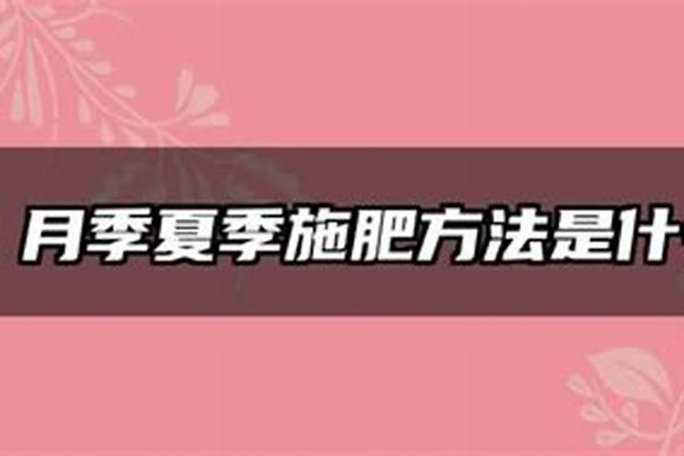 夏季如何给树木施肥和浇水