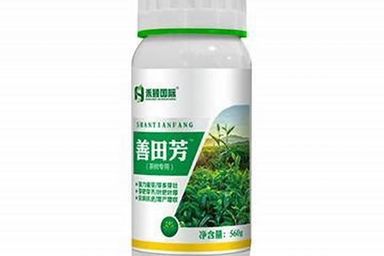 怎样给茶叶喷施叶面肥？ 敌百虫90%高效杀灭作物害虫小国家