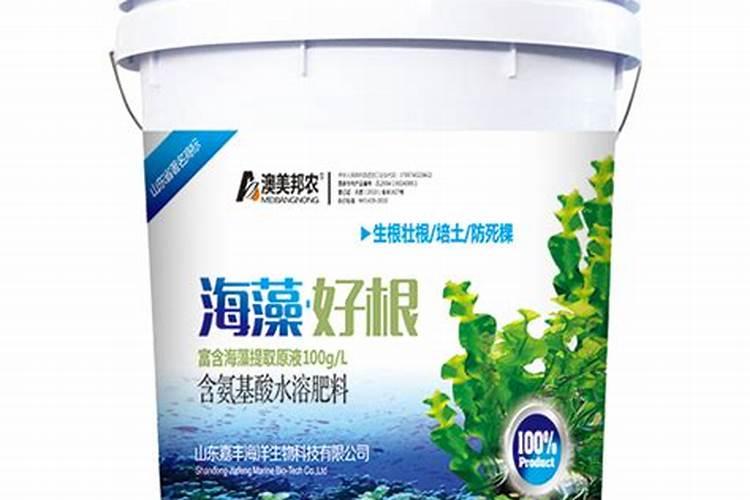 小麦年后追什么肥效果最好