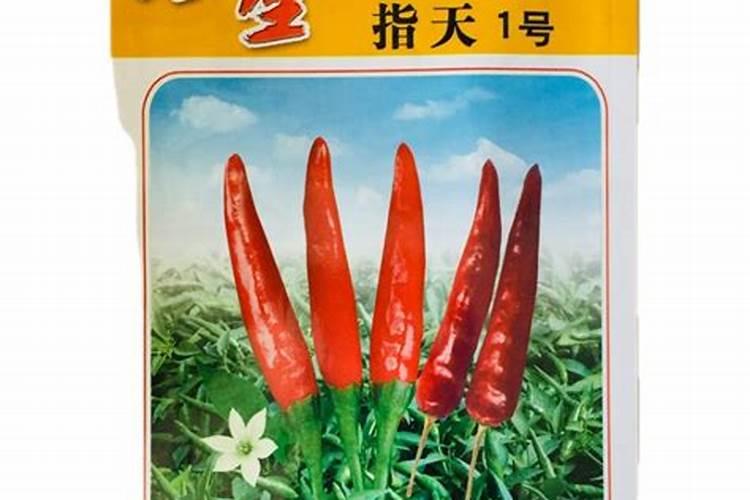 朝天椒怎样施肥才高产