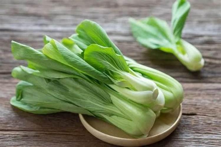 小白菜出芽后几天浇肥 可以施复合肥吗