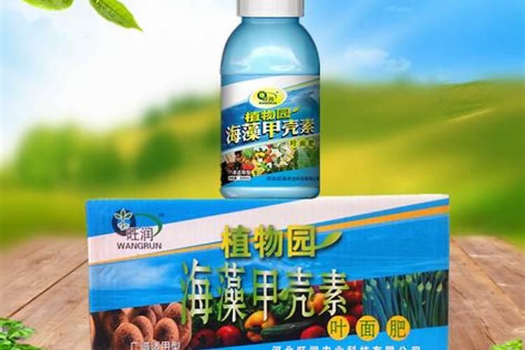 郑州侬易施生物科技有限公司怎么样？