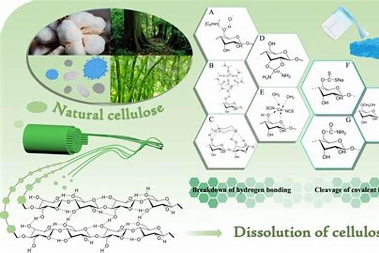 烟灰能做家庭养绿萝的肥料吗