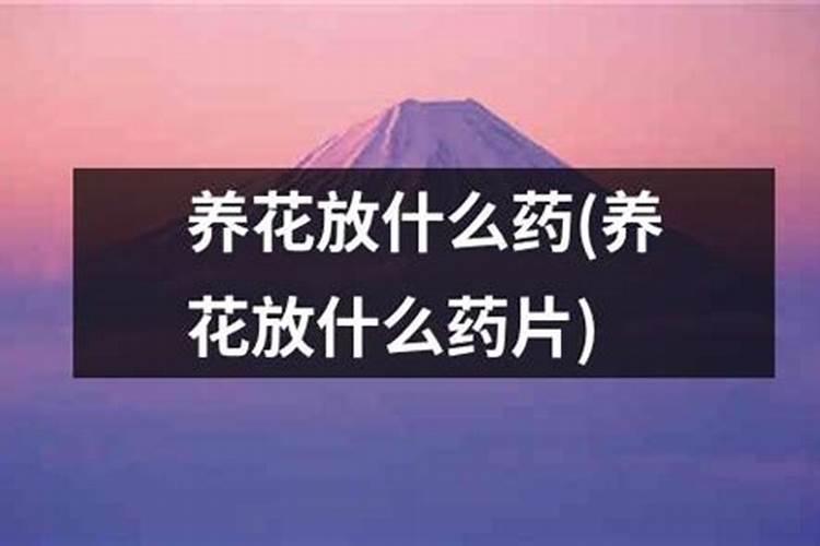 养的花一般用什么肥料？