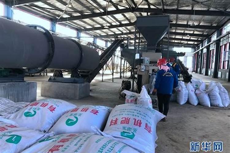 绿植施肥用什么肥料最好 给绿植施4种肥长得好