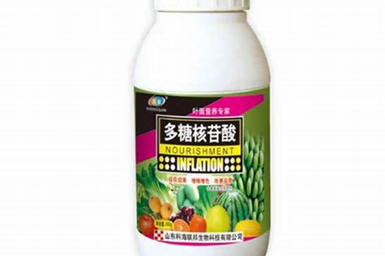 叶面专用肥有哪些种类 哪种叶面肥效果更好