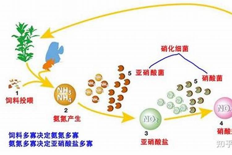如何提高氮肥磷肥钾肥的利用率