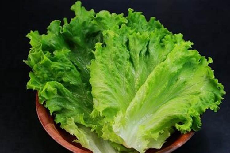 吃生菜对身体都有哪些好处？