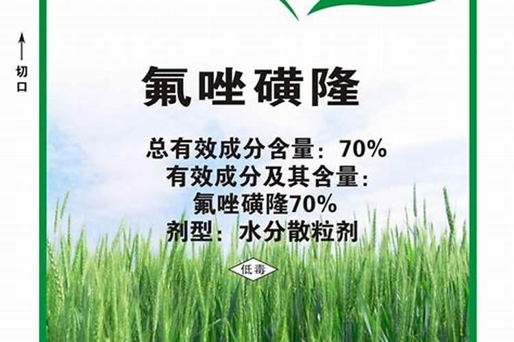 现在小麦应该打什么药