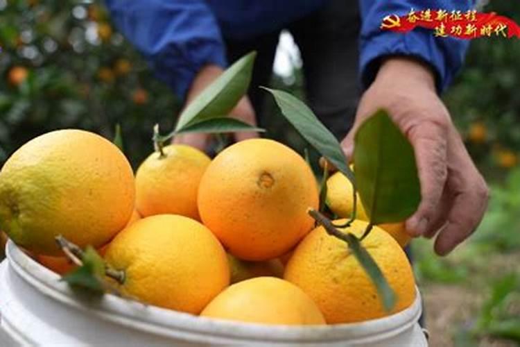 草莓缺素症有什么症状 草莓缺素症防治方法