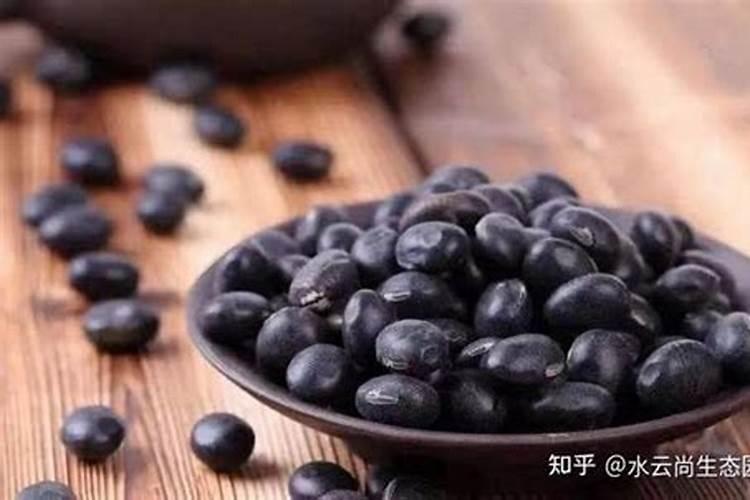包菜育苗怎么育苗