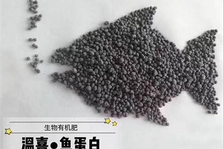 柑橘树上可以冲施矿源和鱼蛋白吗？
