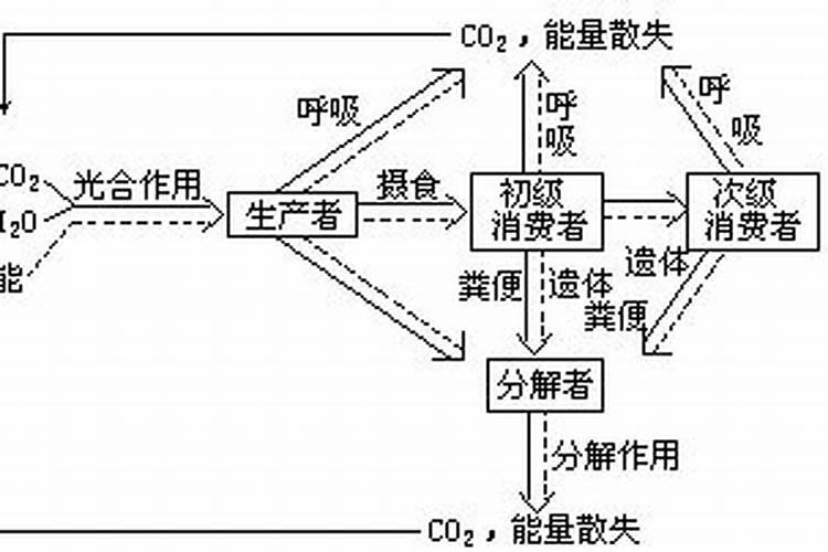 大量元素水溶肥包装上的TE是什么意思？
