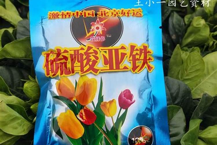 什么肥料能使叶子黑绿、用什么肥叶片发厚发绿
