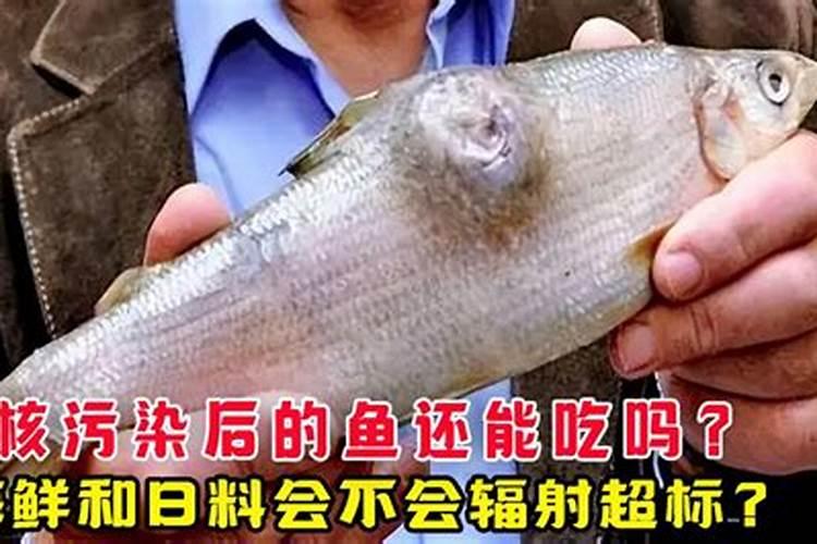 液氮倒入湖中会对湖里的生态环境造成什么影响？