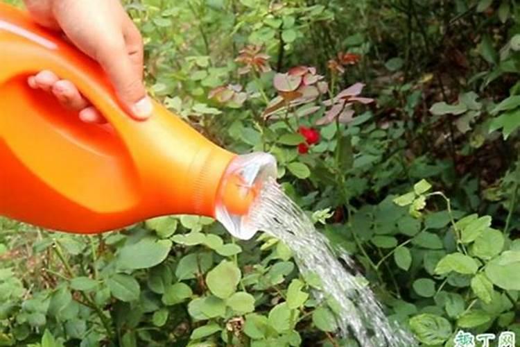 蔬菜用热水烫可以去除残留化肥农药吗？