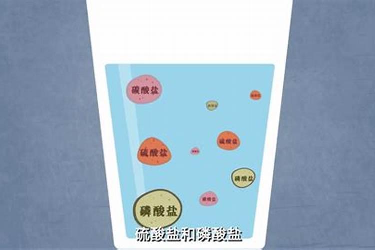 君子兰怎么浇水？