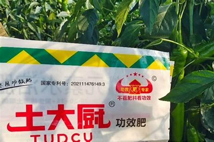 冬季下雪天可以使用水溶肥吗