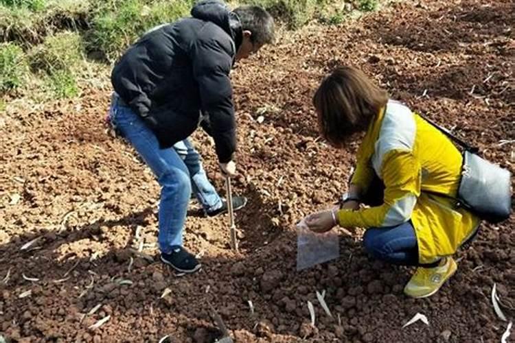 如何能快速分析土壤中营养元素氮磷钾和微量金属元素铜、锌等？