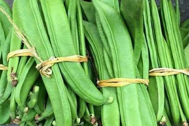 刀豆想要高产应该如何施肥？刀豆高产施肥技术!