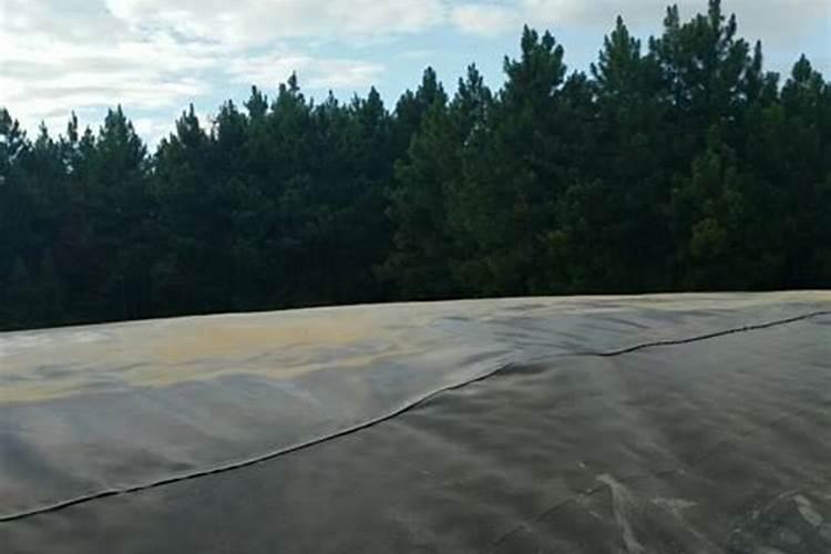 农村种水稻,用沼气池里的肥料,可以直接撒到田里吗？